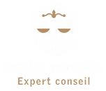 Logo blanc Legion Consulte